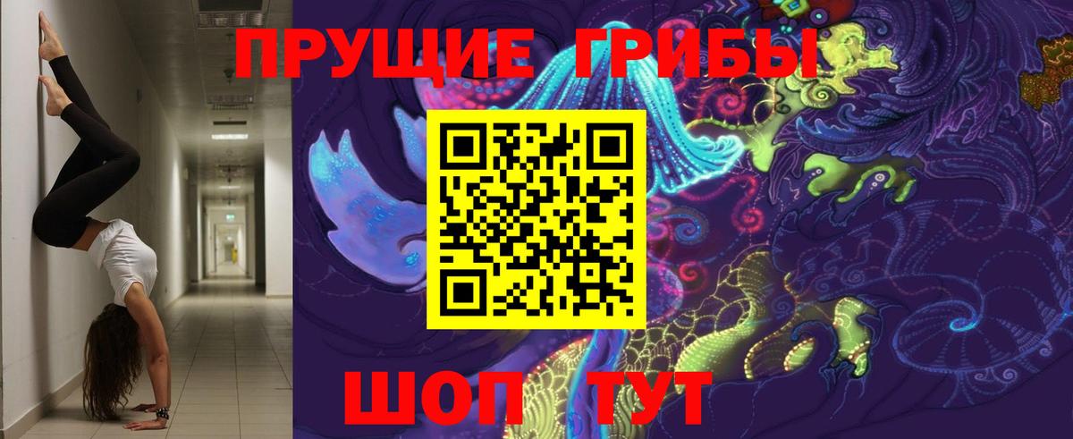 Тельмана  сколько стоит  Галлюциногенные грибы прущие грибы  Вход с VPN  Галлюциногенные грибы ЛСД 